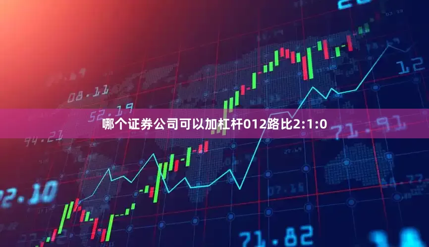 哪个证券公司可以加杠杆012路比2:1:0
