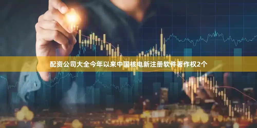 配资公司大全今年以来中国核电新注册软件著作权2个