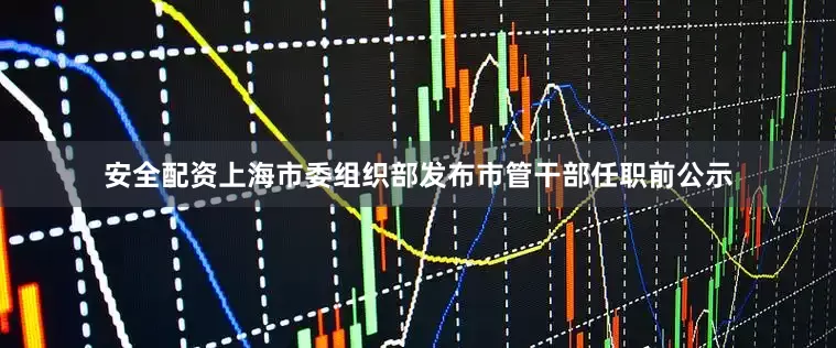安全配资上海市委组织部发布市管干部任职前公示