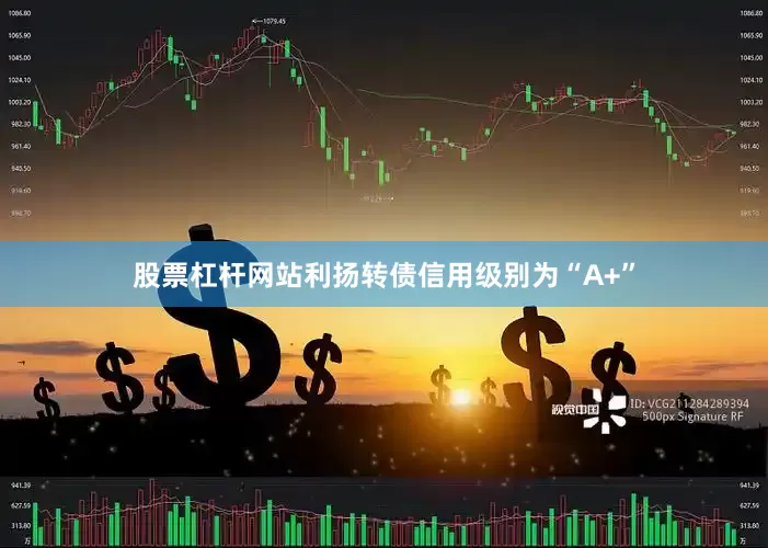股票杠杆网站利扬转债信用级别为“A+”